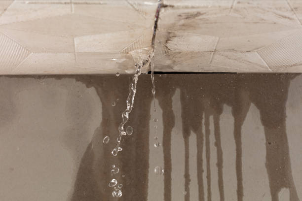 Professional Water Damage Repair technician working in Blaine, OH